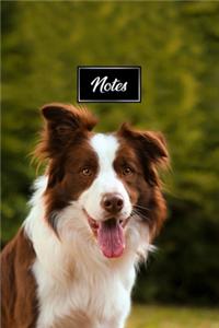 Border Collie Dog Pup Puppy Doggie Notebook Bullet Journal Diary Composition Book Notepad - Garden at Sunset