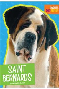 Saint Bernards