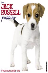 Just Jack Russell Puppies 2018 Wall Calendar (Dog Breed Calendar)