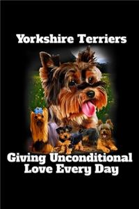 Yorkshire Terriers giving Unconditional Love every day