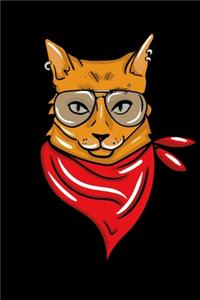 Cool Cat