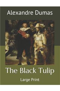 The Black Tulip
