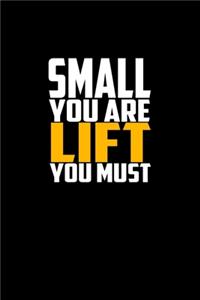 Small You Are Lift You Must