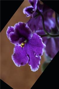 My February 2020 Birthday