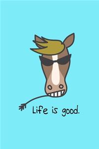 Life is Good