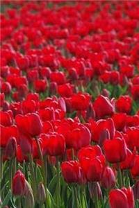 Tulips Notebook