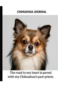 Chihuahua Journal