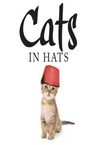 Cats in Hats