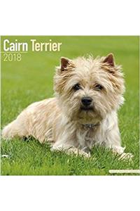 Cairn Terrier Calendar 2018 (Square)