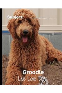 Groodle - Live Love Dogs!