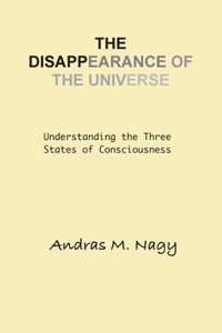 Disappearance of the Universe
