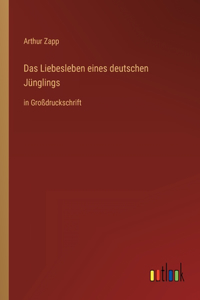 Liebesleben eines deutschen Jünglings: in Großdruckschrift