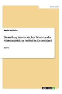 Darstellung ökonomischer Eckdaten des Wirtschaftsfaktor Fußball in Deutschland