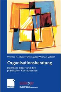 Organisationsberatung