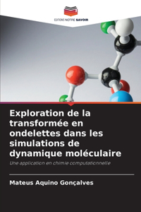 Exploration de la transformée en ondelettes dans les simulations de dynamique moléculaire