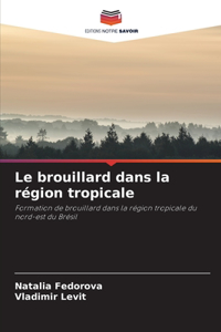 Le brouillard dans la région tropicale