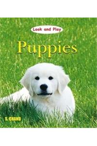 Look And Play - Puppies