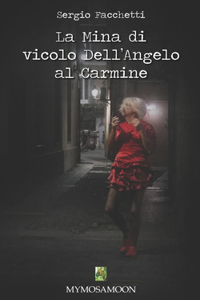 Mina di vicolo dell'Angelo al Carmine