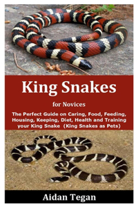 King Snakes for Novices