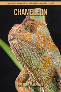 Chameleon