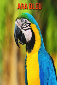 Ara Bleu
