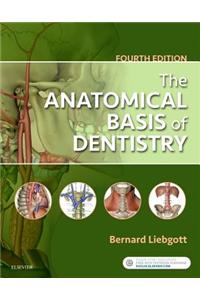 The Anatomical Basis of Dentistry