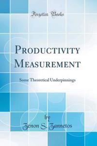 Productivity Measurement: Some Theoretical Underpinnings (Classic Reprint)