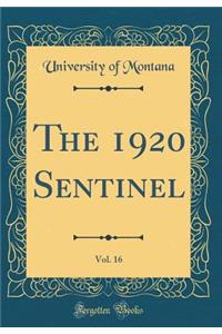 The 1920 Sentinel, Vol. 16 (Classic Reprint)