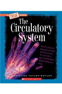 The Circulatory System