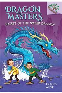 Secret of the Water Dragon: A Branches Book (Dragon Masters #3)