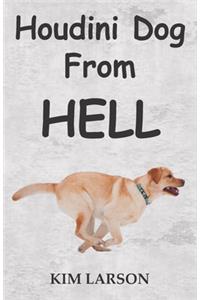 Houdini Dog From Hell