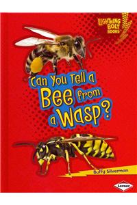 Can You Tell a Bee from a Wasp?