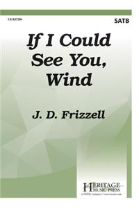 If I Could See You, Wind