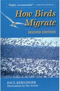 How Birds Migrate