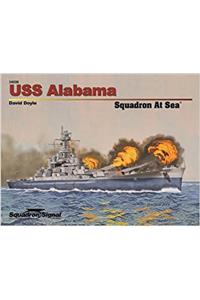 USS Alabama Squadron at Sea- Op
