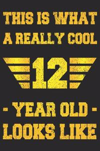 A Really Cool 12 Year Old