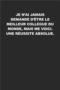 Je N'ai Jamais Demandé D'être Le Meilleur Collegue Du Monde, Mais Me Voici. Une Réussite Absolue