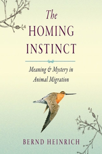 Homing Instinct Lib/E