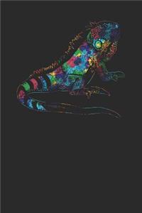 Iguana Colors