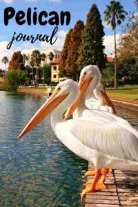 Pelican Journal