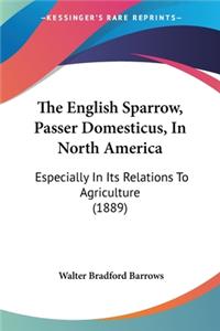 English Sparrow, Passer Domesticus, In North America