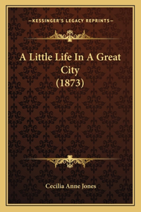 A Little Life In A Great City (1873)