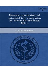 Molecular Mechanisms of Microbial Iron Respiration by Shewanella Oneidensis MR-1