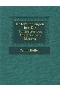 Untersuchungen �ber Die Tunicaten Des Adriatischen Meeres