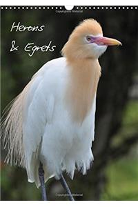 Herons & Egrets 2017