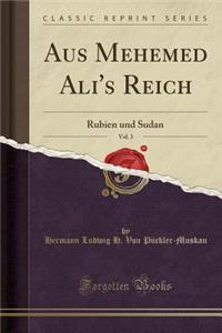Aus Mehemed Ali's Reich, Vol. 3: Rubien Und Sudan (Classic Reprint)
