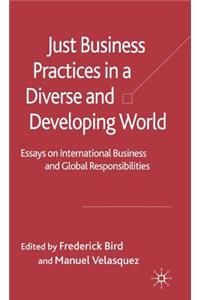 Just Business Practices in a Diverse and Developing World