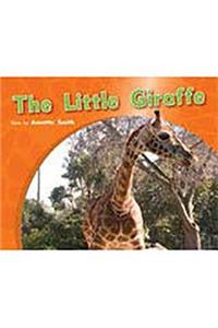 Little Giraffe