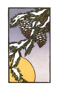 Fir Branches