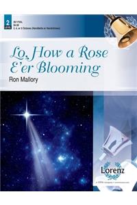 Lo, How a Rose E'Er Blooming
